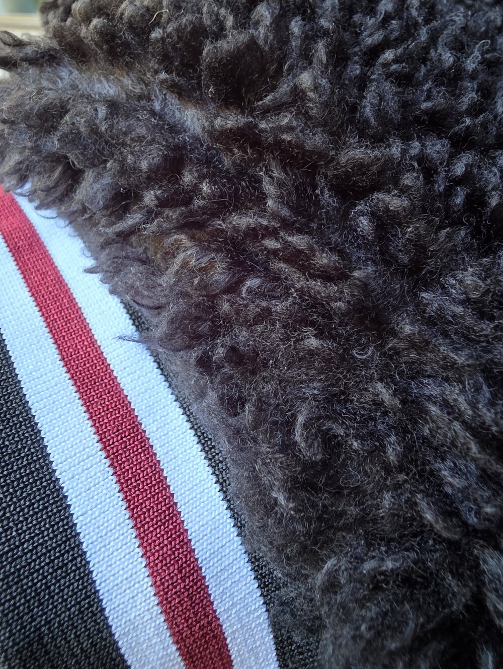 Kimberly.c Black Sherpa Zip-Up Bomber Jacket #JAC2 - Picture 4 of 14